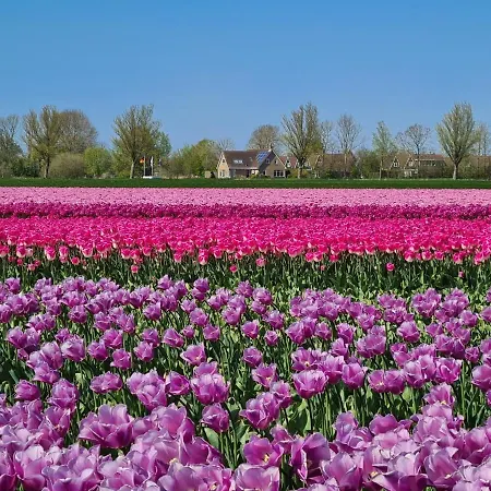 Chalet 521 Op Recreatiepark De Wielen *